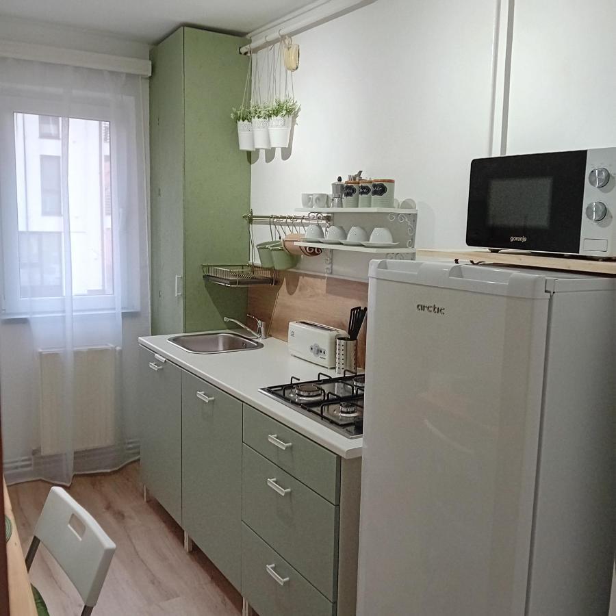 Harmonyhouse Leilighet Braşov Eksteriør bilde